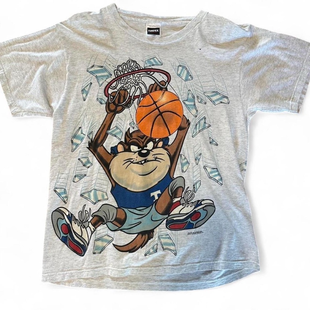 1993 Looney Tunes Taz Shattered Backboard Large